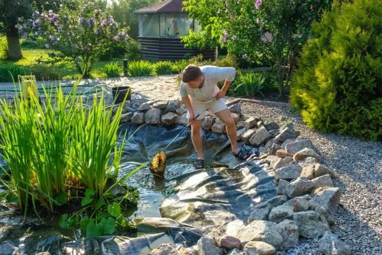 A man is cleaning a small backyard pond with a net, standing on rocks surrounded by lush plants and garden landscaping—perfect inspiration for your next Blog Post 2025.