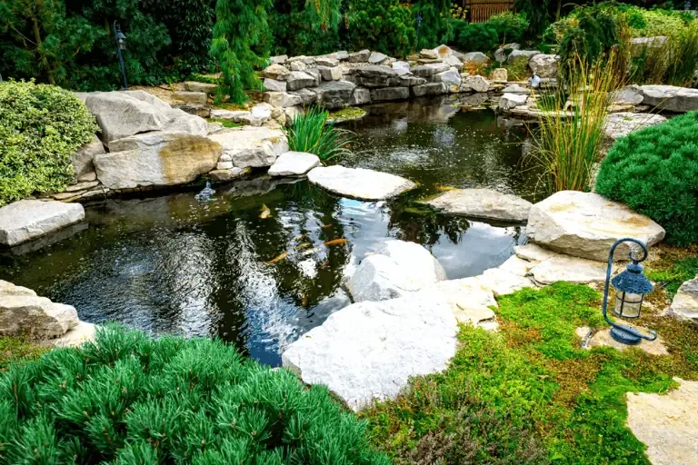A landscaped California garden pond with large rocks, lush greenery, and three orange fish swimming in the water—perfect for those interested in DIY algae control.