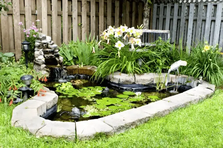 A small backyard pond with lily pads, blooming flowers, a stone border, and garden decor sits against a wooden fence—perfect for relaxing and easy fall pond care to prevent pond muck.